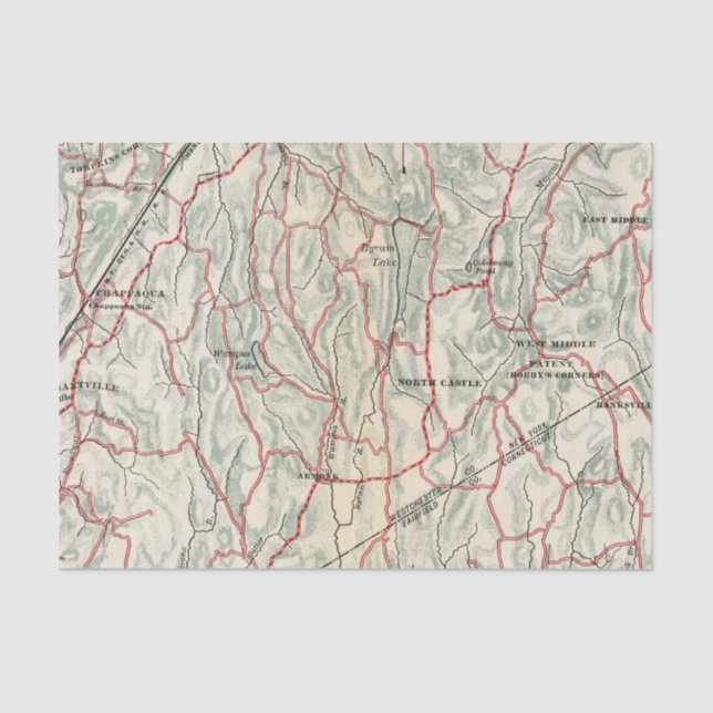Bicycle Roads in New York and Conneticut Tissue Paper (Front)