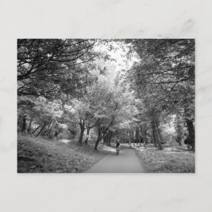 Bicycle Trail - B&W Postcard