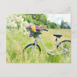 Bicycle with a flowers postcard