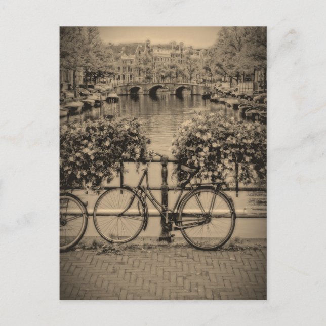 Bicycles & Canals - Classic Amsterdam - Postcard (Front)