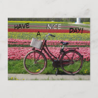 Bicyclette à Tulips Field Avoir une carte postale 