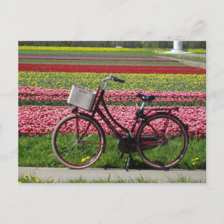 Bicyclette à Tulips Field do-it-yourself carte pos