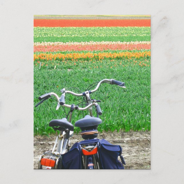 Bicyclettes garées Spring Tulip Field Carte postal (Devant)
