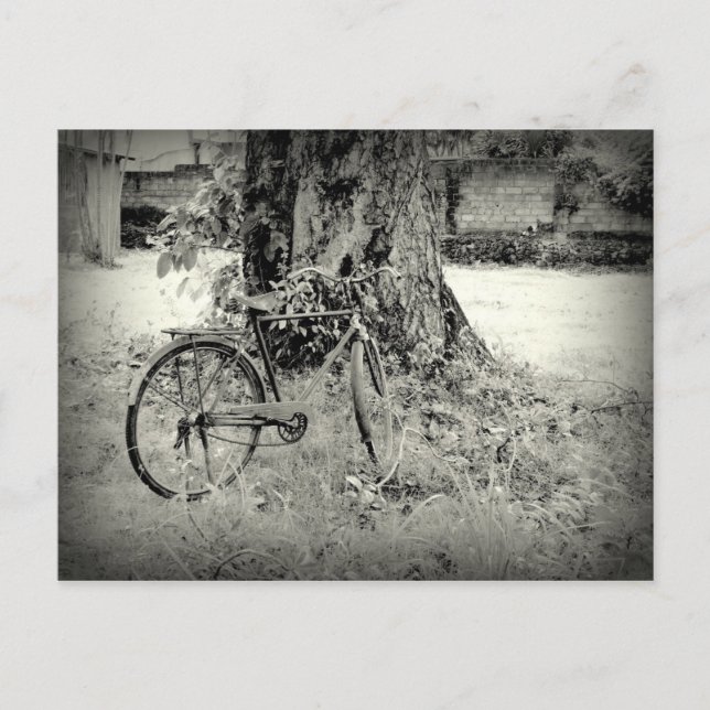 Bicyle under a tree postcard (Front)