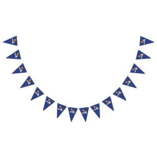 Biden Harris Party  Bunting Flags