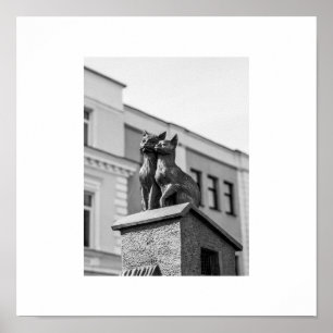 Biélorussie Б е л р а у с  Brest   Chats Poster