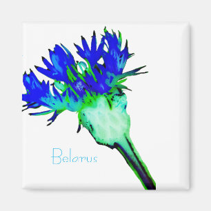 Biélorussie Б л а р у с Magnet Fleur de Corn Natio