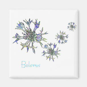 Biélorussie Б л а р у с Magnet Fleur de Corn Natio