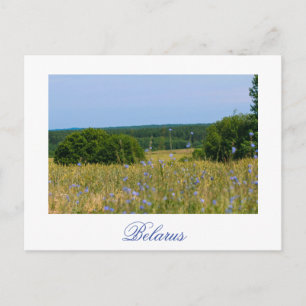 Biélorussie Paysage rural Campagne Carte postale