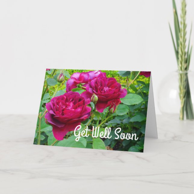Bien Bientôt Darcey Bussell Rose Carte #2 (Devant)