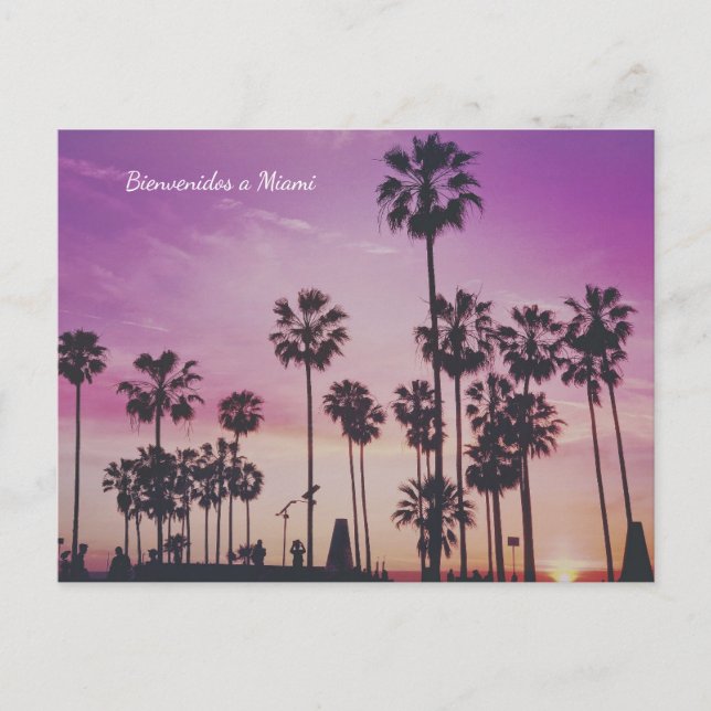 Bienvenidos a Miami Palm Trees Postcard (Front)