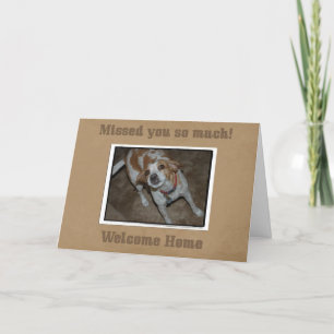 Bienvenue à la maison de la carte pour animaux de 