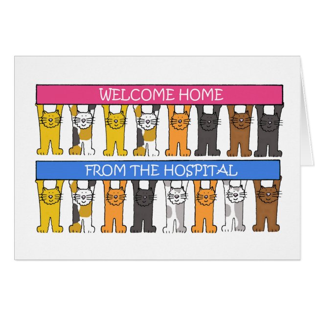 Bienvenue à la maison de l'hôpital Cartoon Cats (Devant horizontal)