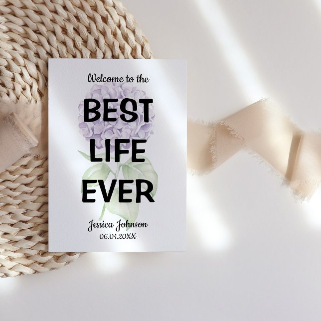 Bienvenue à la meilleure vie jamais Hydrangea Bapt (Créateur téléchargé)