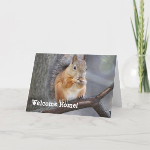 Bienvenue Accueil Carte de voeux d'écureuil rouge