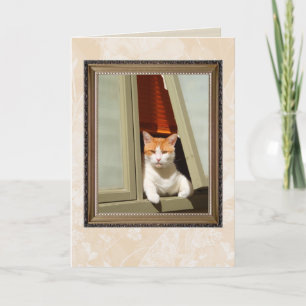bienvenue carte chat