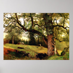 Bierstadt - A Trail through the Trees Poster
