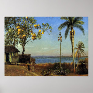 Bierstadt - A View In The Bahamas Poster