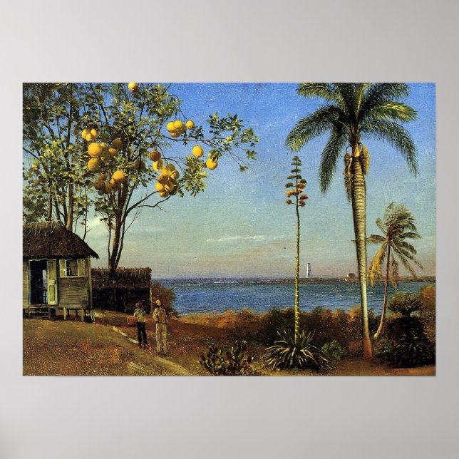 Bierstadt - A View In The Bahamas Poster (Front)