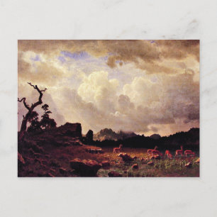 Bierstadt - Thunderstorms in the Rocky Mountains Postcard