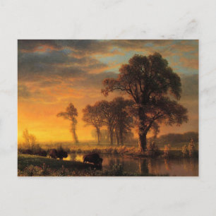 Bierstadt - Western Kansas Postcard