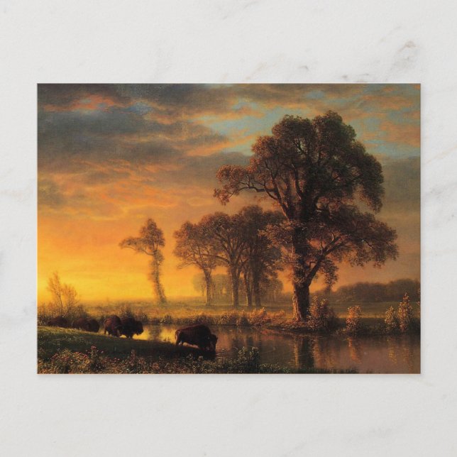 Bierstadt - Western Kansas Postcard (Front)