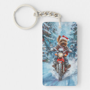 Biewer Terrier Chien équitation Moto Noël