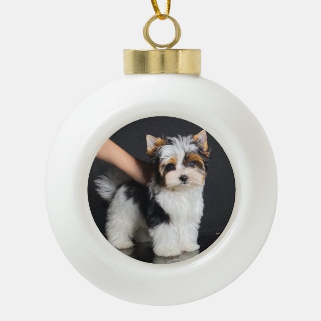 Biewer Terrier Christmas Ornament (Front)