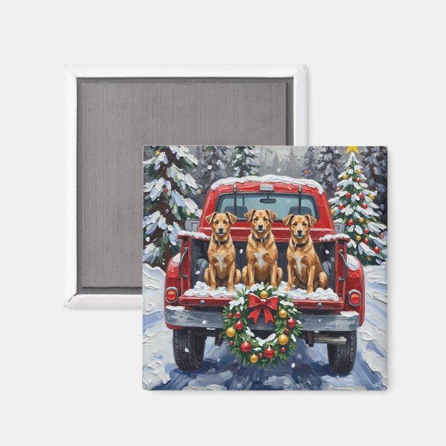 Biewer Terrier Christmas Red Truck Holiday Magnet (Front/Back)