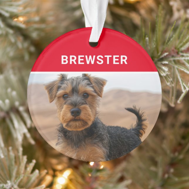 Biewer Terrier Dog's Name and Photo Christmas Ornament (Tree)