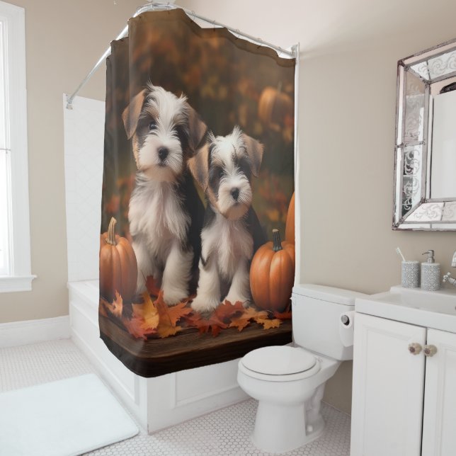 Biewer Terrier Puppy Autumn Delight Pumpkin  (In Situ)