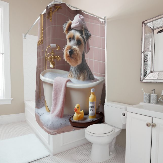 Biewer Terrier Sloppy Sleepy Cute Funny (In Situ)
