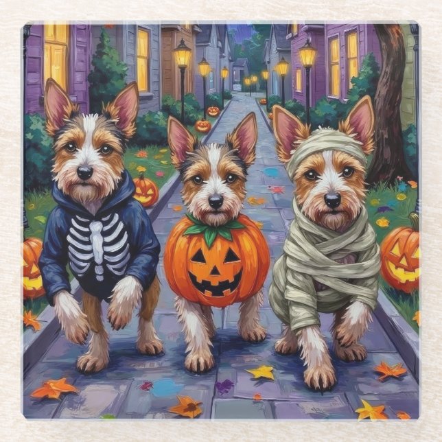 Biewer Terrier Trick-or-Treating Halloween Costume Glass Coaster (Front)