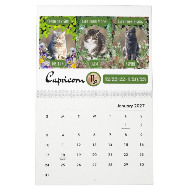 Big 3 Signs as Cats in the Garden 2023 Calendar (Jan 2027)