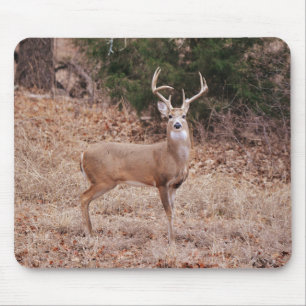 Big and Beautiful Buck Deer Antlers in Winter Mouse Pad