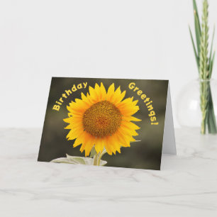 Big and Bright Sunflower Birthday Card