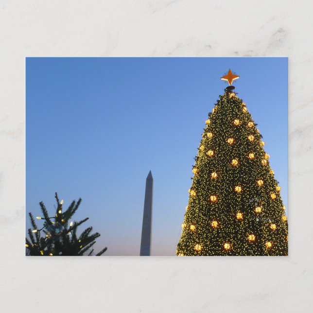 Big and Little Christmas Trees II Holiday in DC (Front)