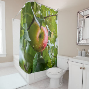 big apple tree