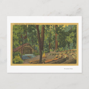 Big Basin, California "Camp Fire Bowl" View Postcard