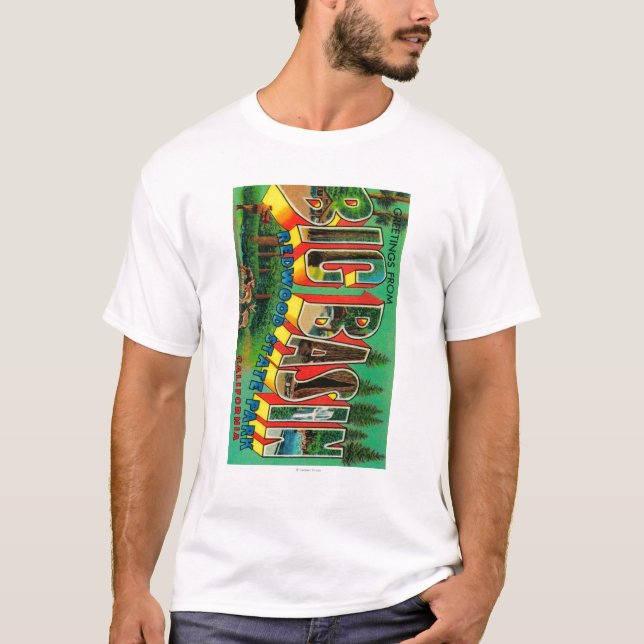 Big Basin, California - Large Letter Scenes T-Shirt (Front)