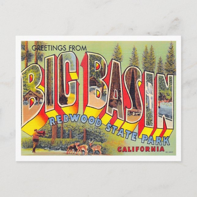 Big Basin, California Vintage Big Letters Postcard (Front)