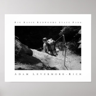 Big Basin Redwoods State Park Poster