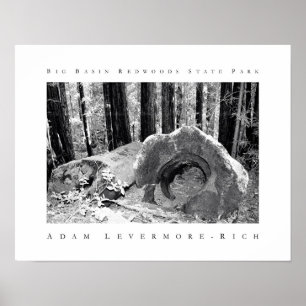 Big Basin Redwoods State Park Poster