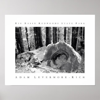 Big Basin Redwoods State Park Poster