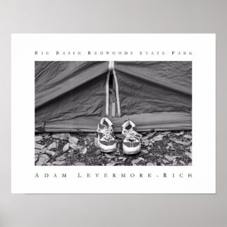 Big Basin Redwoods State Park Poster