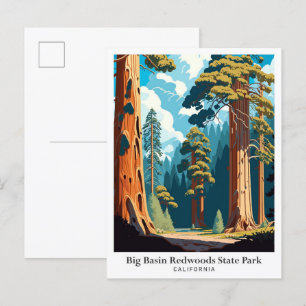 Big Basin Redwoods State Park Travel Illustration Postcard