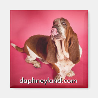 Big Basset Kiss Magnet