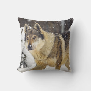 Big Beautiful Grey Wild Wolf in snow Throw Pillow