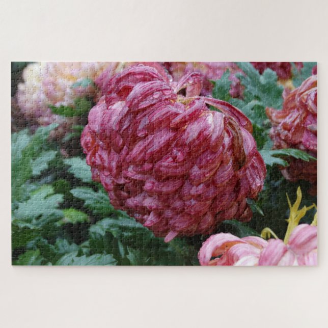 Big Beautiful Mums on a Rainy Day! on a Jigsaw Puzzle (Horizontal)