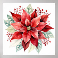 Big Beautiful Red Poinsettia Christmas Flower